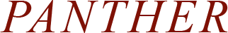panther logo